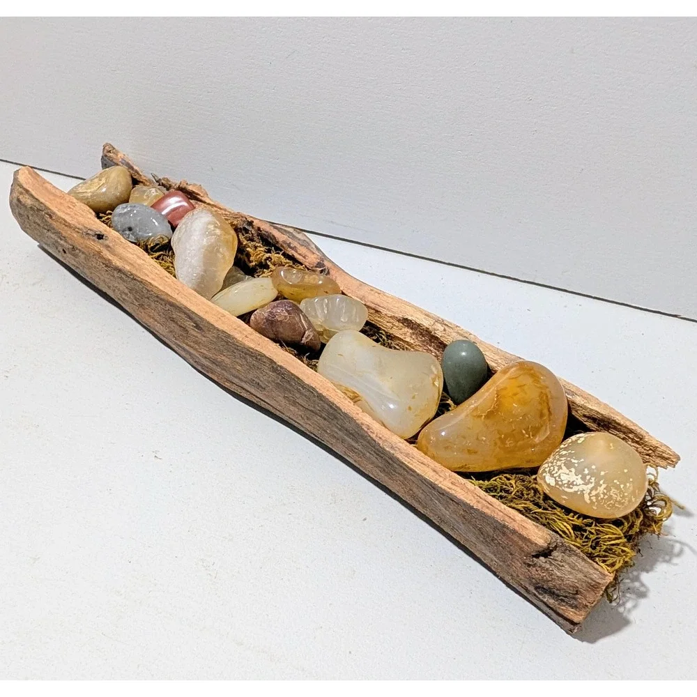 Black Locust Hollow Root Fairy garden or Gemstone Display. 9